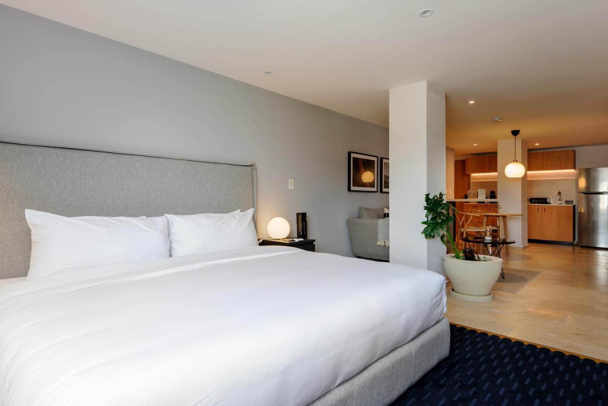 Aparthotel Roma 168 By Wynwood House à Mexico Extérieur photo